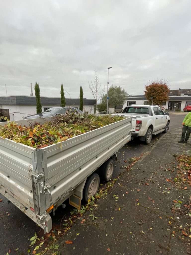 baumpflege obstbaumpflege