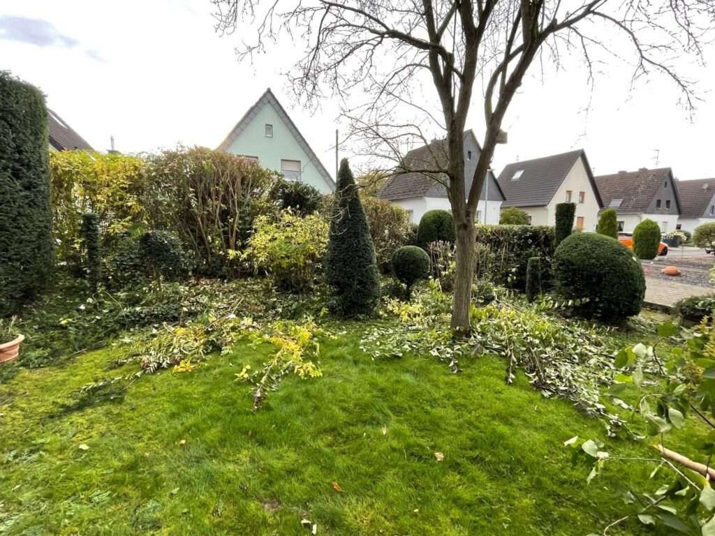 baumpflege obstbaumpflege