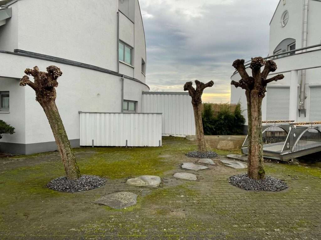 baumpflege obstbaumpflege