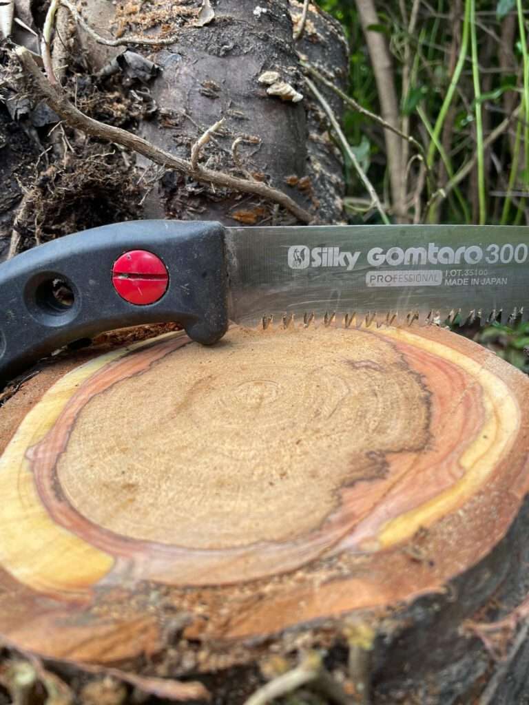 baumpflege obstbaumpflege