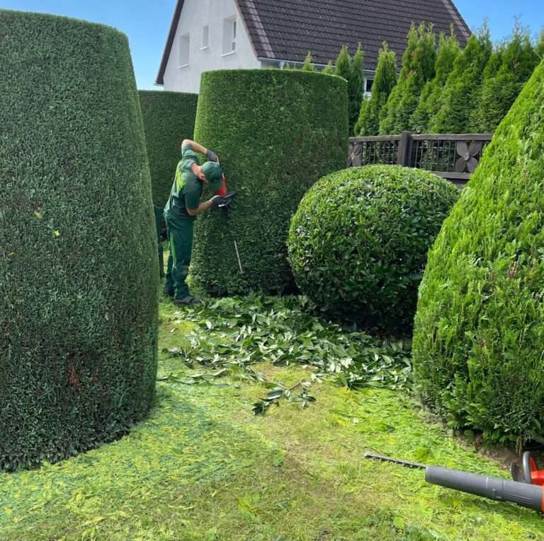 Gartenpflege Heckenschnitt Gartenbau Bonn