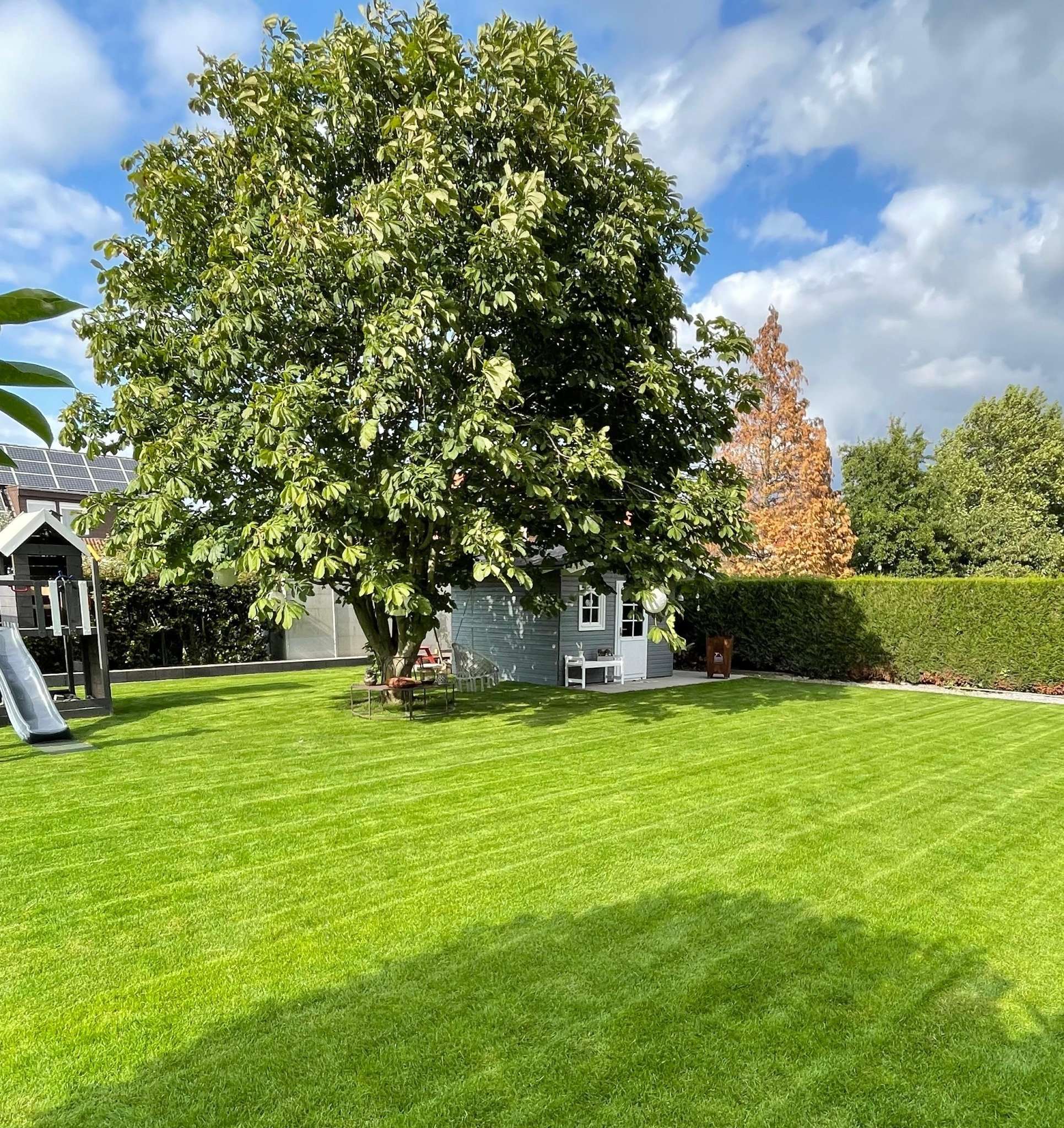 Gartenpflege Gartenbau Grünpflege Heckenschitt