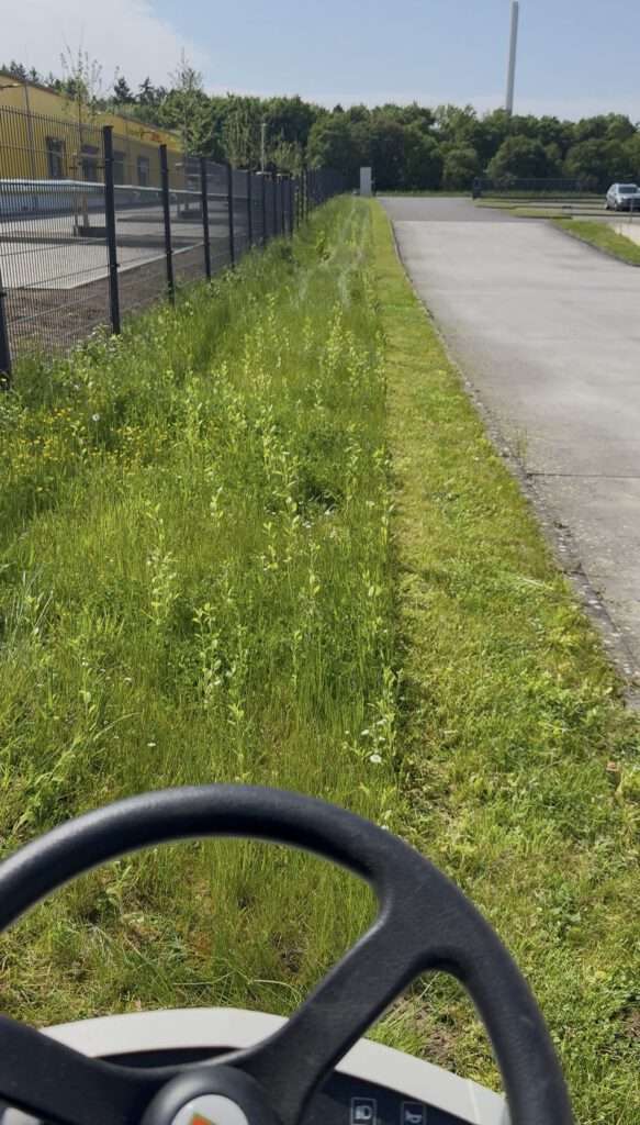 Wiese mähen bei einem Gewerbekunden